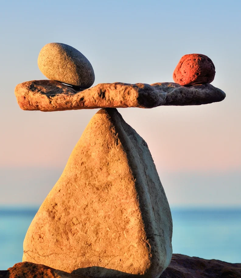 Wellness Care in Westford