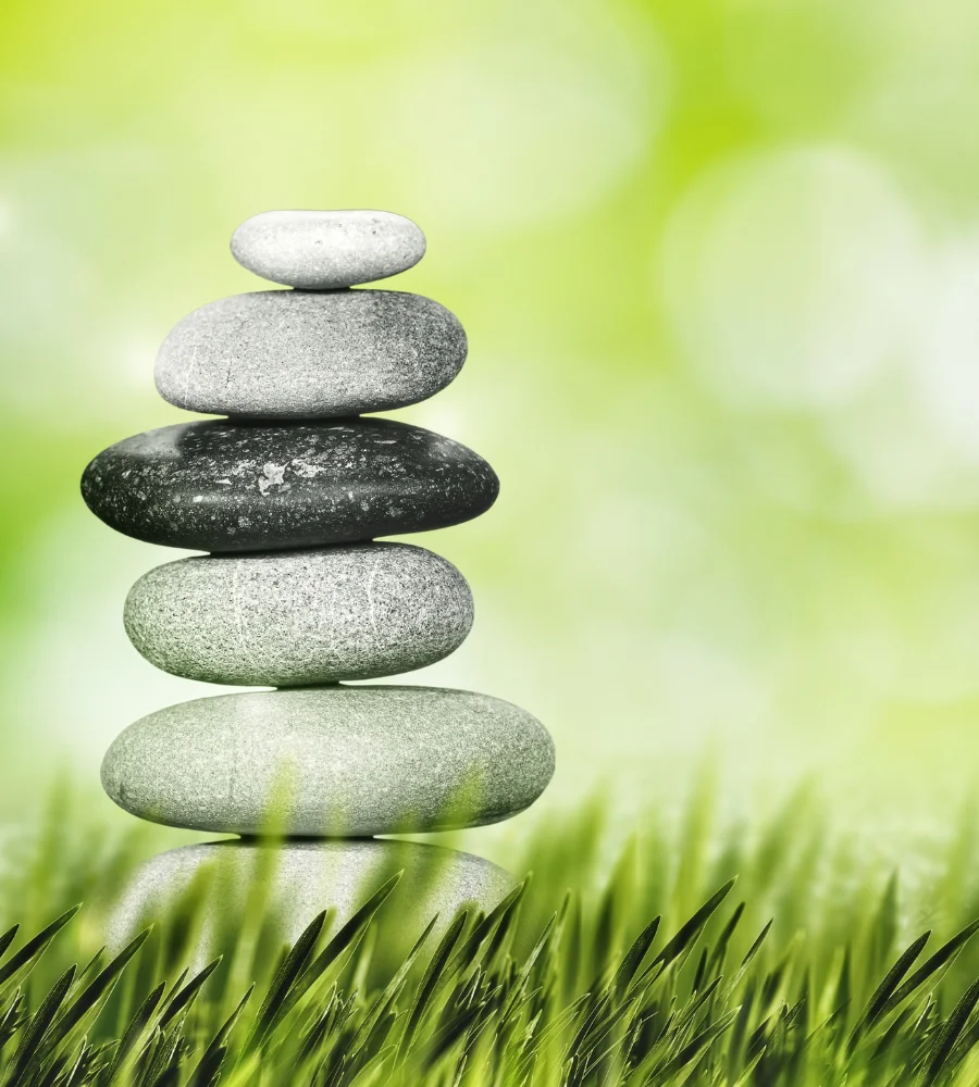 functional medicine services